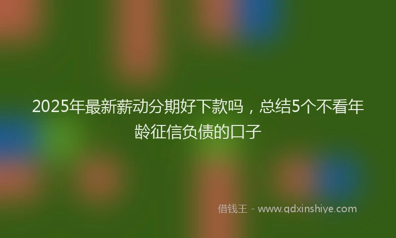 2025年最新薪动分期好下款吗，总结5个不看年龄征信负债的口子