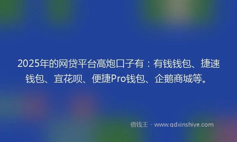 2025年的网贷平台高炮口子有：有钱钱包、捷速钱包、宜花呗、便捷Pro钱包、企鹅商城等。