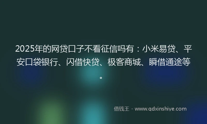 2025年的网贷口子不看征信吗有：小米易贷、平安口袋银行、闪借快贷、极客商城、瞬借通途等。