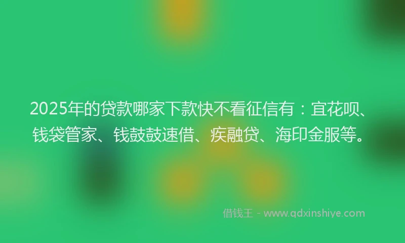 2025年的贷款哪家下款快不看征信有：宜花呗、钱袋管家、钱鼓鼓速借、疾融贷、海印金服等。