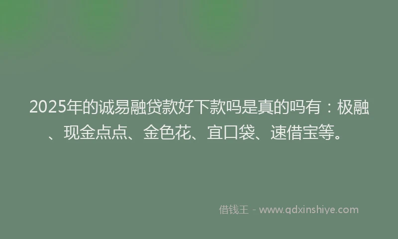 2025年的诚易融贷款好下款吗是真的吗有：极融、现金点点、金色花、宜口袋、速借宝等。