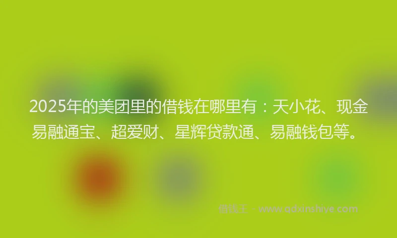 2025年的美团里的借钱在哪里有：天小花、现金易融通宝、超爱财、星辉贷款通、易融钱包等。