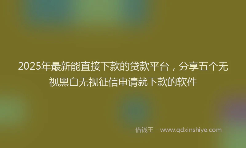 2025年最新能直接下款的贷款平台，分享五个无视黑白无视征信申请就下款的软件