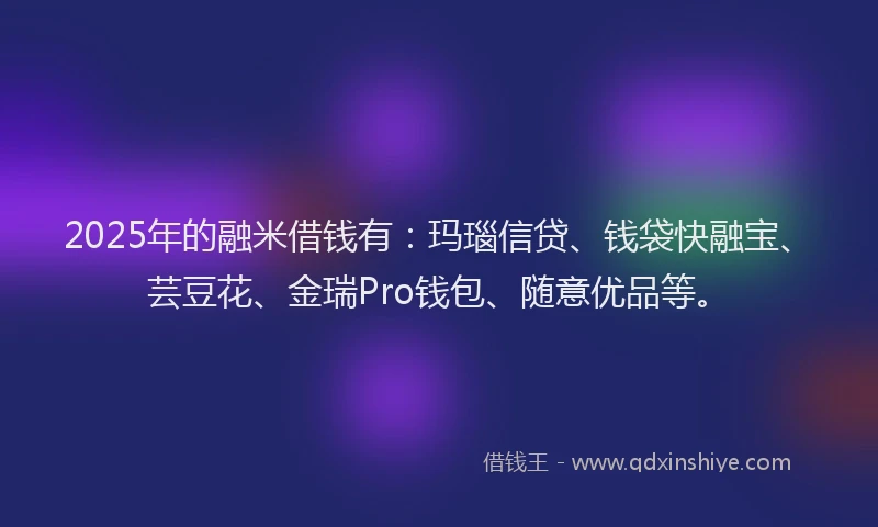 2025年的融米借钱有：玛瑙信贷、钱袋快融宝、芸豆花、金瑞Pro钱包、随意优品等。