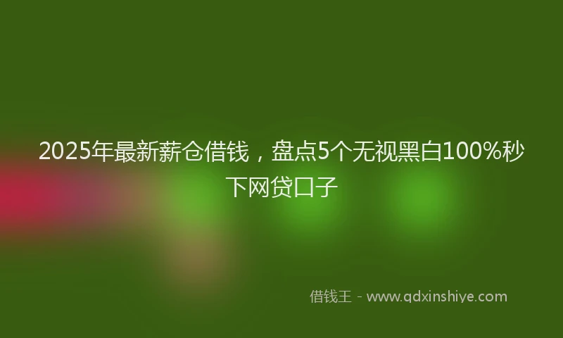 2025年最新薪仓借钱，盘点5个无视黑白100%秒下网贷口子