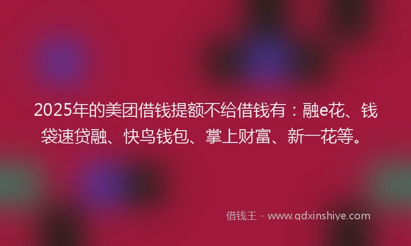 2025年的美团借钱提额不给借钱有：融e花、钱袋速贷融、快鸟钱包、掌上财富、新一花等。