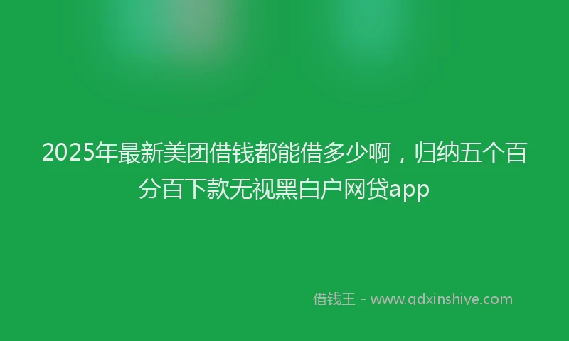 2025年最新美团借钱都能借多少啊，归纳五个百分百下款无视黑白户网贷app