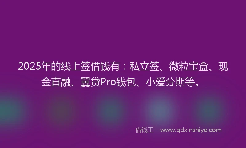 2025年的线上签借钱有：私立签、微粒宝盒、现金直融、翼贷Pro钱包、小爱分期等。