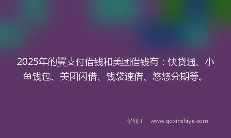 2025年的翼支付借钱和美团借钱有：快贷通、小鱼钱包、美团闪借、钱袋速借、悠悠分期等。