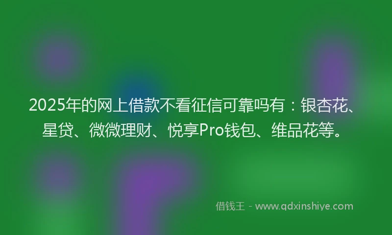 2025年的网上借款不看征信可靠吗有：银杏花、星贷、微微理财、悦享Pro钱包、维品花等。