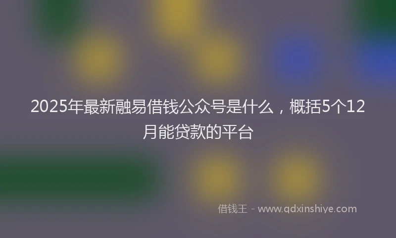 2025年最新融易借钱公众号是什么，概括5个12月能贷款的平台