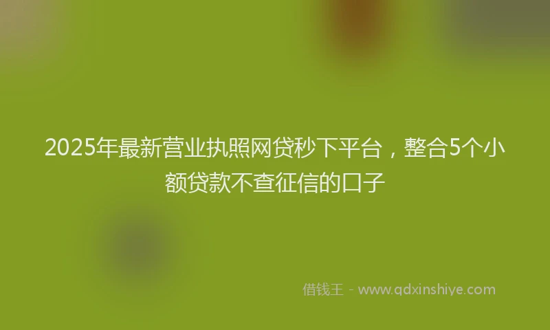 2025年最新营业执照网贷秒下平台，整合5个小额贷款不查征信的口子