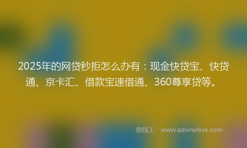 2025年的网贷秒拒怎么办有：现金快贷宝、快贷通、京卡汇、借款宝速借通、360尊享贷等。