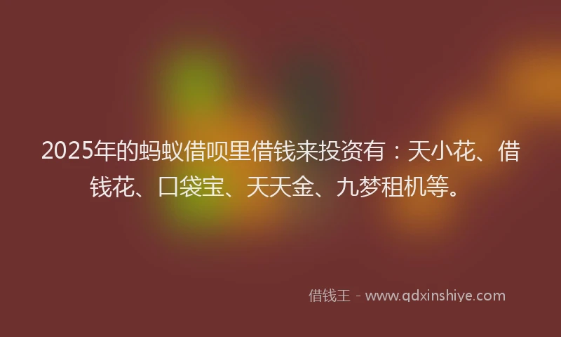 2025年的蚂蚁借呗里借钱来投资有：天小花、借钱花、口袋宝、天天金、九梦租机等。