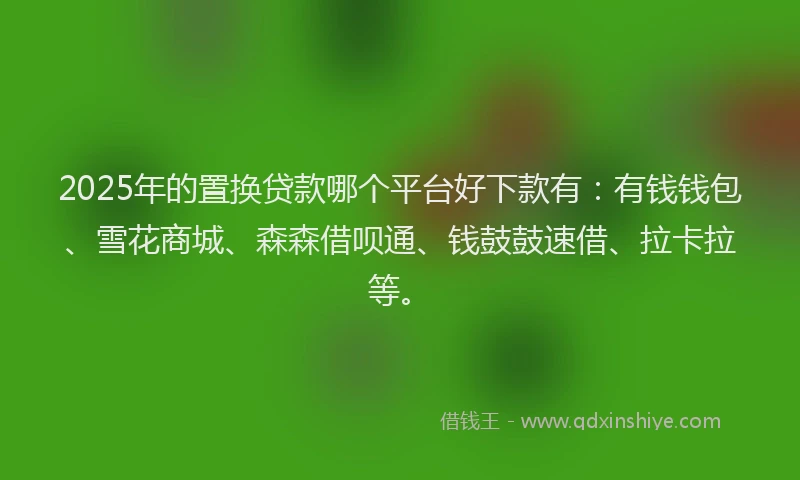2025年的置换贷款哪个平台好下款有：有钱钱包、雪花商城、森森借呗通、钱鼓鼓速借、拉卡拉等。
