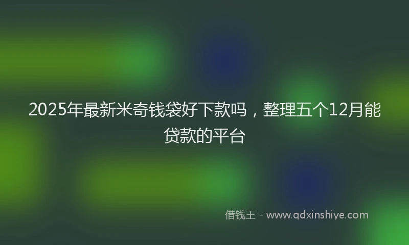 2025年最新米奇钱袋好下款吗，整理五个12月能贷款的平台