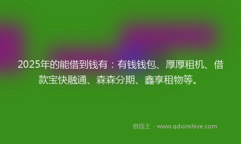2025年的能借到钱有：有钱钱包、厚厚租机、借款宝快融通、森森分期、鑫享租物等。