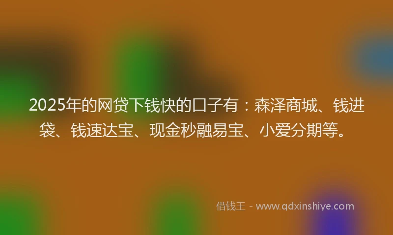 2025年的网贷下钱快的口子有：森泽商城、钱进袋、钱速达宝、现金秒融易宝、小爱分期等。