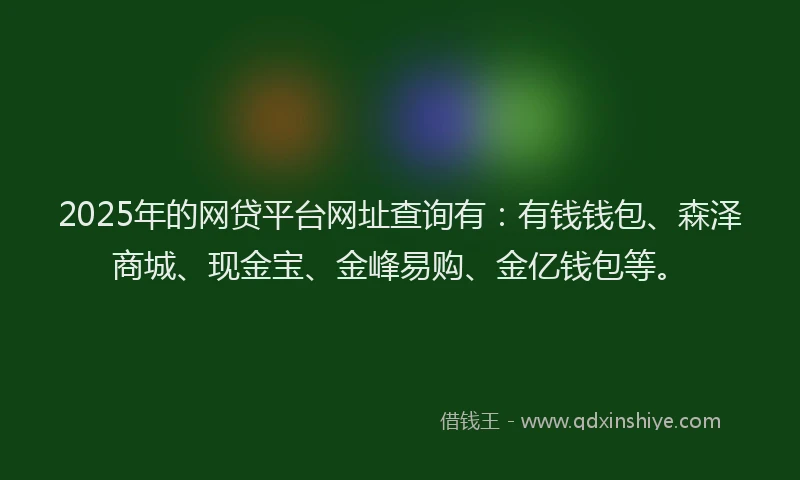 2025年的网贷平台网址查询有：有钱钱包、森泽商城、现金宝、金峰易购、金亿钱包等。