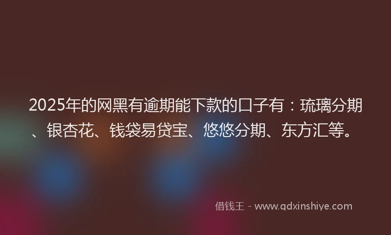 2025年的网黑有逾期能下款的口子有：琉璃分期、银杏花、钱袋易贷宝、悠悠分期、东方汇等。