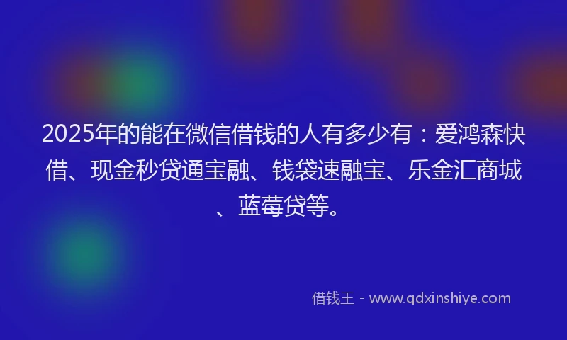 2025年的能在微信借钱的人有多少有：爱鸿森快借、现金秒贷通宝融、钱袋速融宝、乐金汇商城、蓝莓贷等。