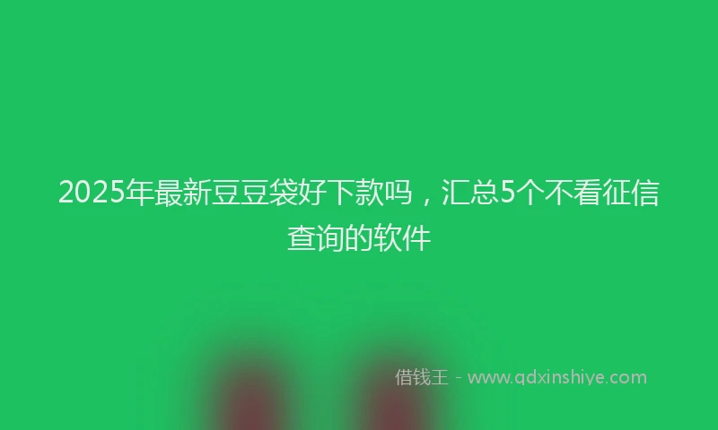2025年最新豆豆袋好下款吗，汇总5个不看征信查询的软件