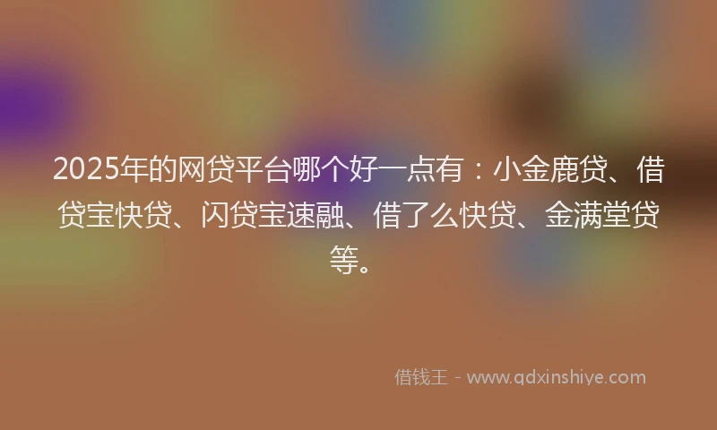 2025年的网贷平台哪个好一点有：小金鹿贷、借贷宝快贷、闪贷宝速融、借了么快贷、金满堂贷等。