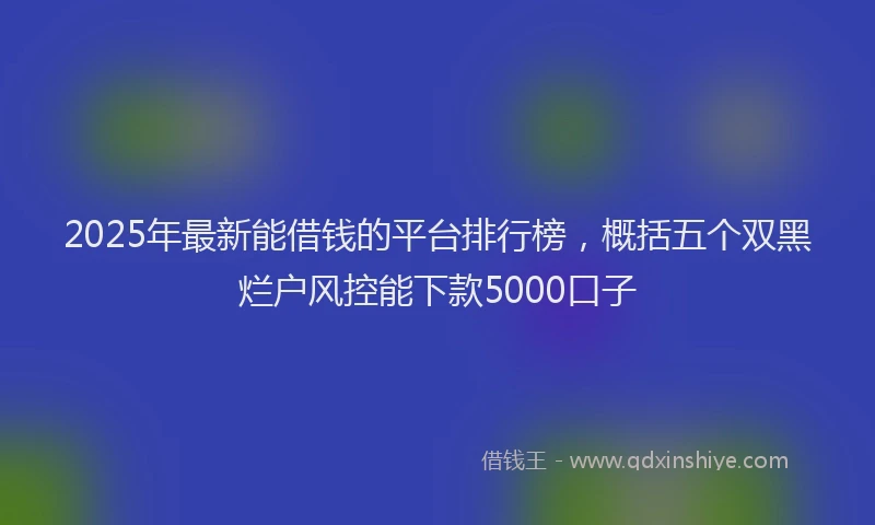 2025年最新能借钱的平台排行榜,概括五个双黑烂户风控能下款5000口子