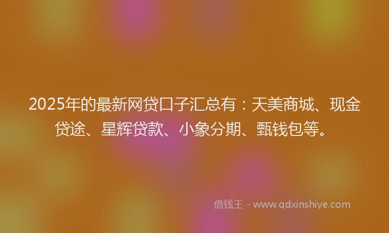 2025年的最新网贷口子汇总有：天美商城、现金贷途、星辉贷款、小象分期、甄钱包等。