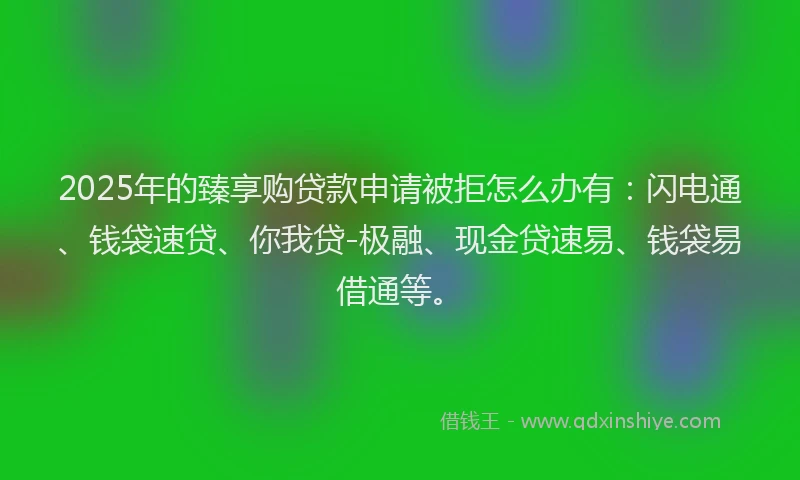 2025年的臻享购贷款申请被拒怎么办有：闪电通、钱袋速贷、你我贷-极融、现金贷速易、钱袋易借通等。