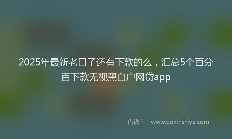 2025年最新老口子还有下款的么，汇总5个百分百下款无视黑白户网贷app
