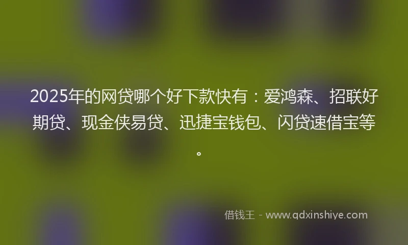2025年的网贷哪个好下款快有：爱鸿森、招联好期贷、现金侠易贷、迅捷宝钱包、闪贷速借宝等。