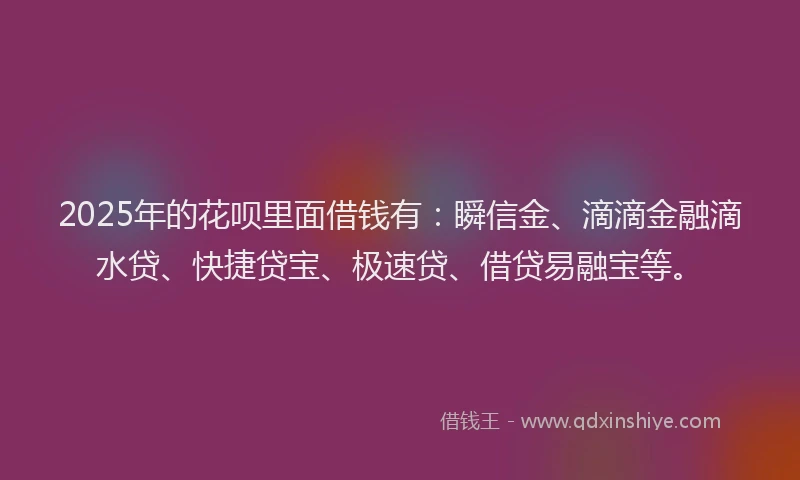 2025年的花呗里面借钱有：瞬信金、滴滴金融滴水贷、快捷贷宝、极速贷、借贷易融宝等。