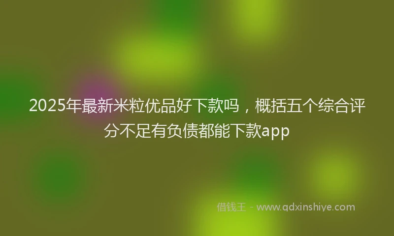 2025年最新米粒优品好下款吗，概括五个综合评分不足有负债都能下款app