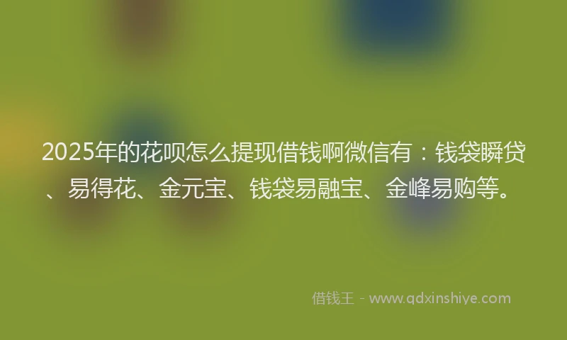 2025年的花呗怎么提现借钱啊微信有：钱袋瞬贷、易得花、金元宝、钱袋易融宝、金峰易购等。