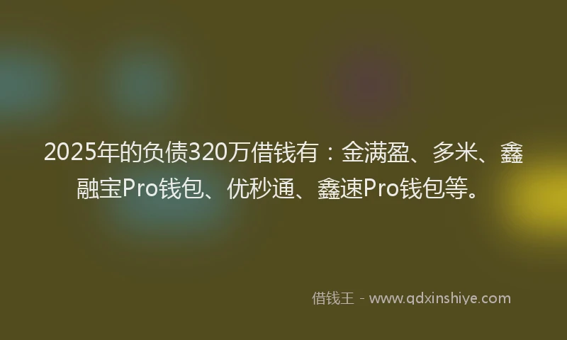 2025年的负债320万借钱有：金满盈、多米、鑫融宝Pro钱包、优秒通、鑫速Pro钱包等。