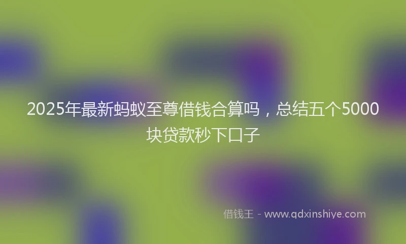 2025年最新蚂蚁至尊借钱合算吗，总结五个5000块贷款秒下口子
