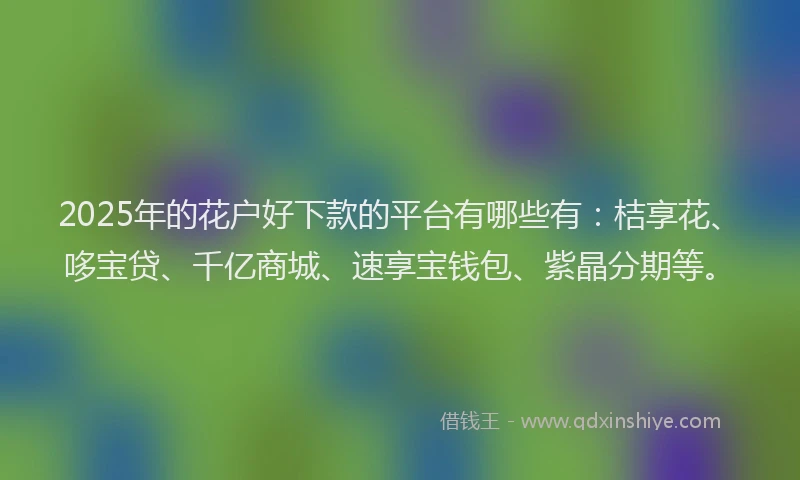 2025年的花户好下款的平台有哪些有：桔享花、哆宝贷、千亿商城、速享宝钱包、紫晶分期等。