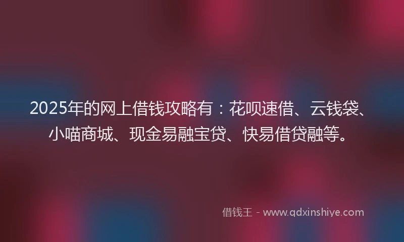 2025年的网上借钱攻略有：花呗速借、云钱袋、小喵商城、现金易融宝贷、快易借贷融等。