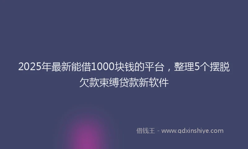 2025年最新能借1000块钱的平台，整理5个摆脱欠款束缚贷款新软件