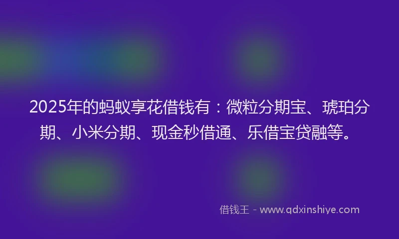 2025年的蚂蚁享花借钱有：微粒分期宝、琥珀分期、小米分期、现金秒借通、乐借宝贷融等。
