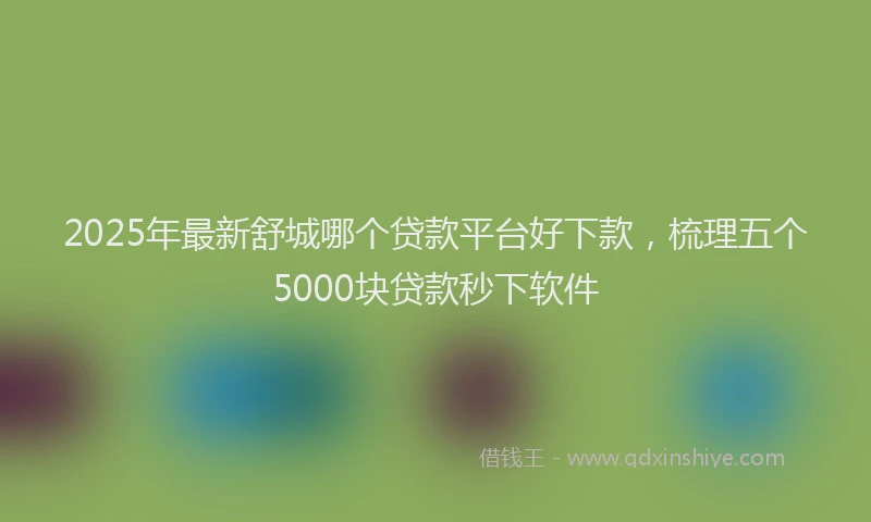2025年最新舒城哪个贷款平台好下款,梳理五个5000块贷款秒下软件