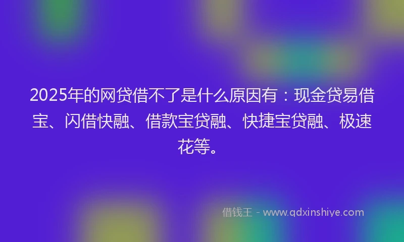 2025年的网贷借不了是什么原因有：现金贷易借宝、闪借快融、借款宝贷融、快捷宝贷融、极速花等。
