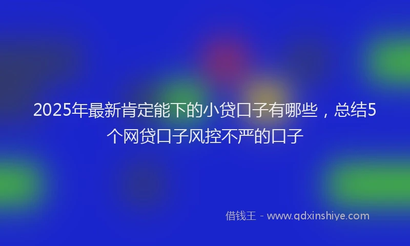 2025年最新肯定能下的小贷口子有哪些，总结5个网贷口子风控不严的口子
