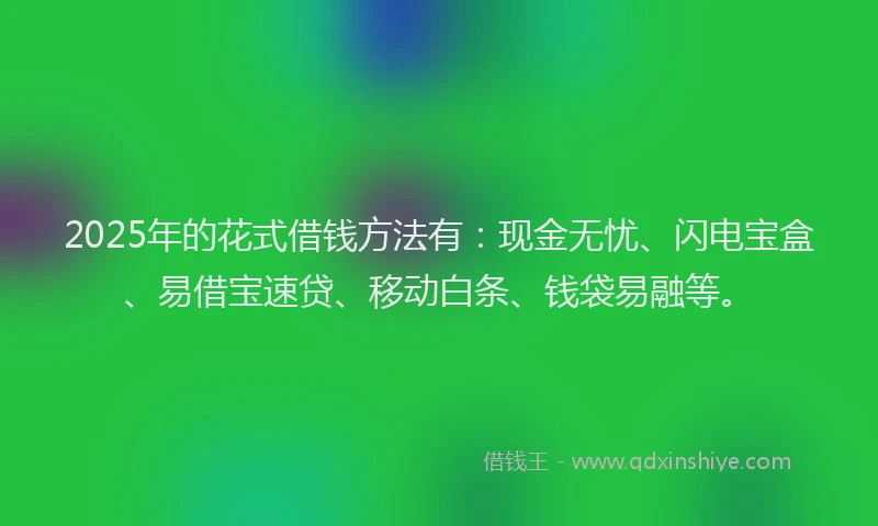 2025年的花式借钱方法有：现金无忧、闪电宝盒、易借宝速贷、移动白条、钱袋易融等。