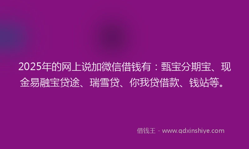 2025年的网上说加微信借钱有：甄宝分期宝、现金易融宝贷途、瑞雪贷、你我贷借款、钱站等。
