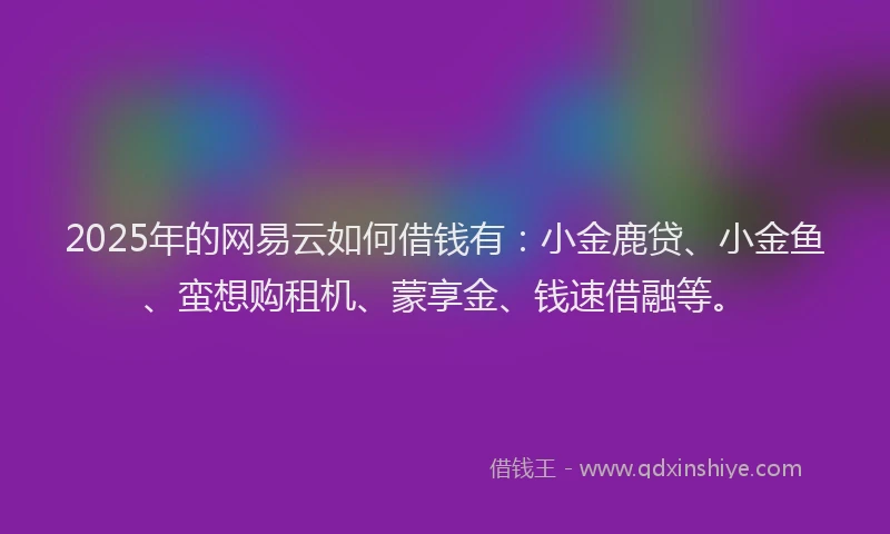 2025年的网易云如何借钱有：小金鹿贷、小金鱼、蛮想购租机、蒙享金、钱速借融等。