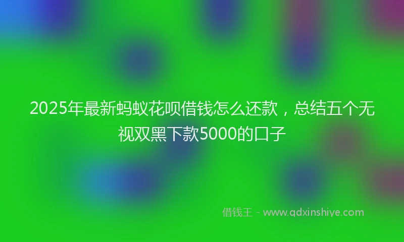 2025年最新蚂蚁花呗借钱怎么还款,总结五个无视双黑下款5000的口子