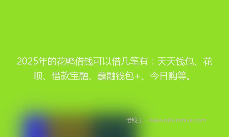 2025年的花鸭借钱可以借几笔有：天天钱包、花呗、借款宝融、鑫融钱包+、今日购等。