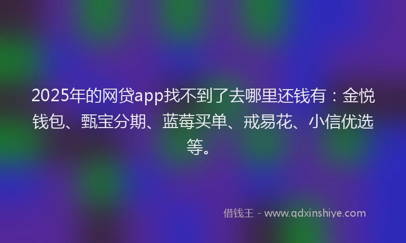 2025年的网贷app找不到了去哪里还钱有：金悦钱包、甄宝分期、蓝莓买单、戒易花、小信优选等。